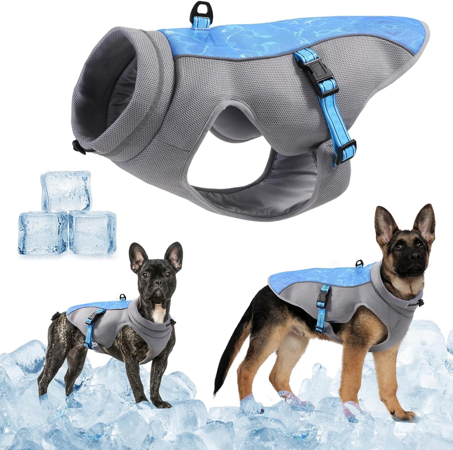 Dog wearing the Cooling Vest outdoors