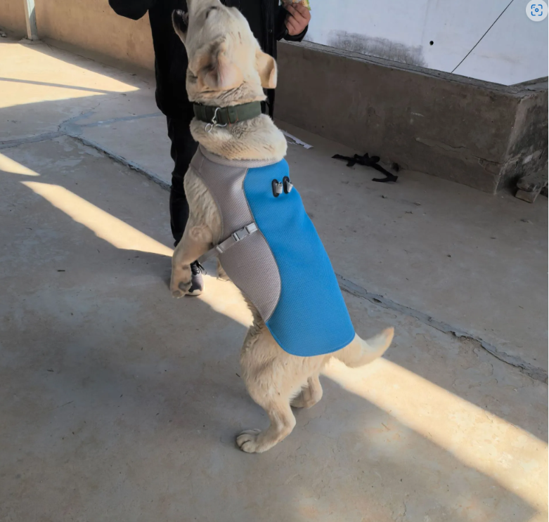 Cooling Vest neck strap adjustment