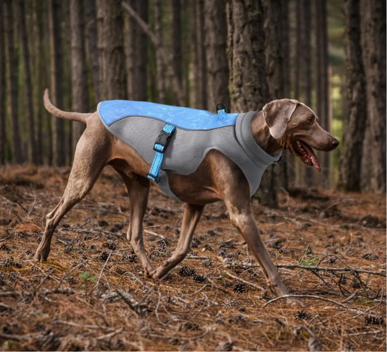 Cooling Vest belly strap adjustment